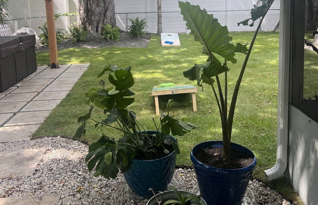 Seagrass Cottage - Foto 57