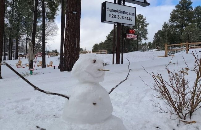 The Nook Pinetop - Photo 24
