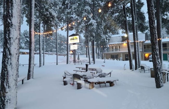 The Nook Pinetop - Photo 31
