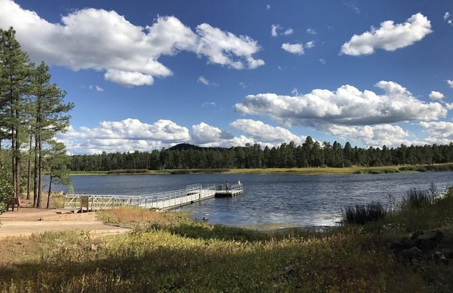 The Nook Pinetop - Photo 41