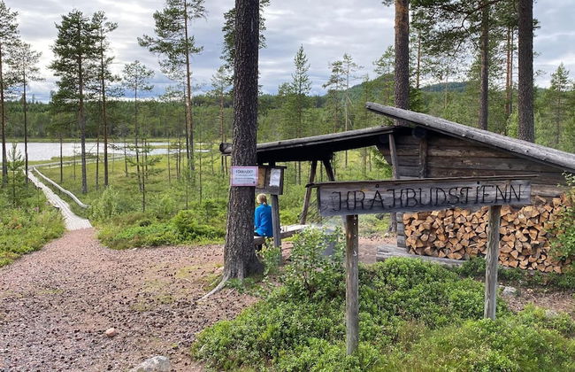 Beautiful 4-5 Persons Cottage in Alvdalen - Photo 17