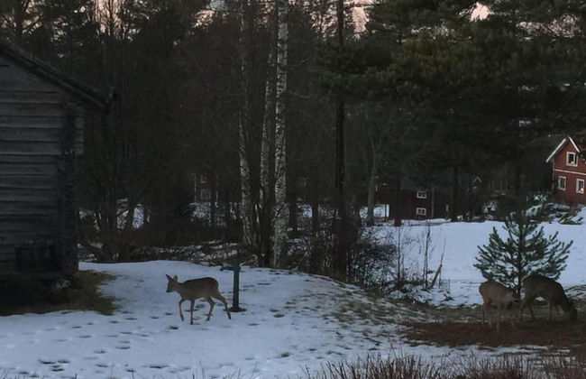 Beautiful 4-5 Persons Cottage in Alvdalen - Photo 20
