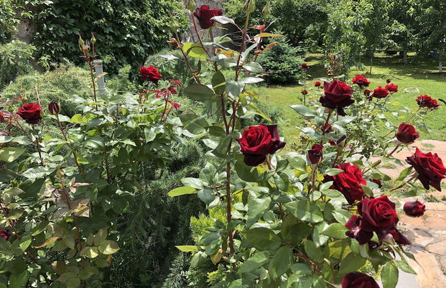 Villa in Nork - Photo 39