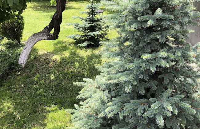 Villa in Nork - Photo 38