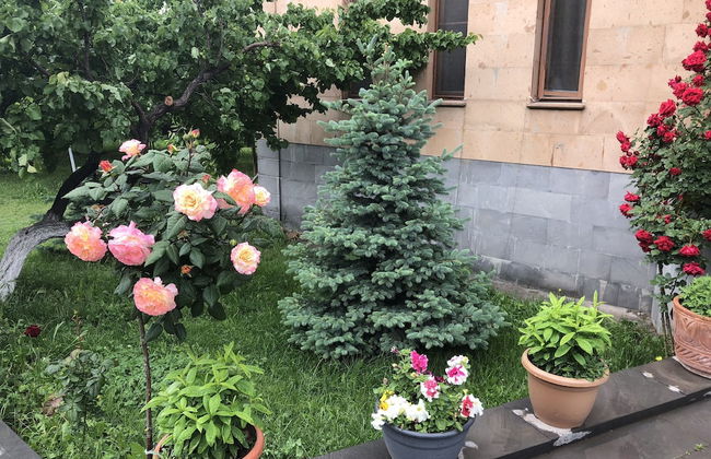 Villa in Nork - Photo 41