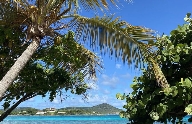 Sapphire Beach Villa - Photo 53