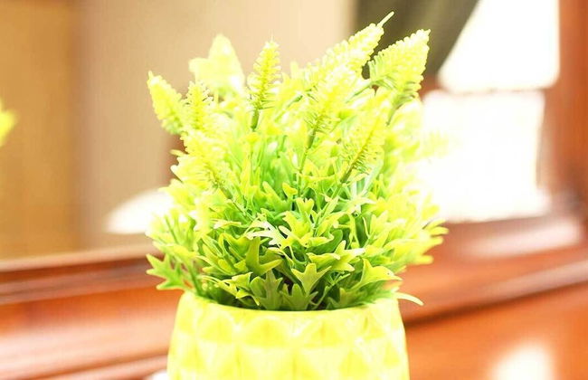 Kentucky Homes International - Foto 45
