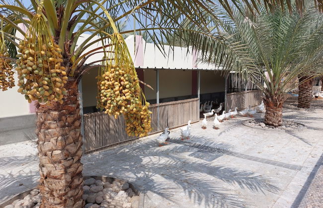 Asahalah Farm Villas - Foto 35