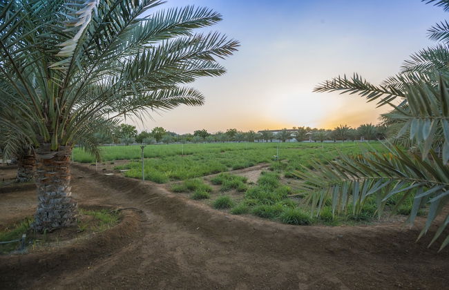 Asahalah Farm Villas - Foto 56