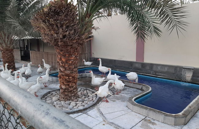 Asahalah Farm Villas - Foto 34