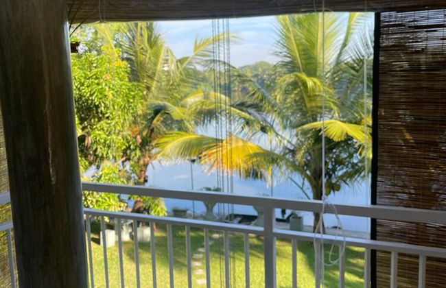 Morning Guest can see Momkeyies and Birds - Photo 13