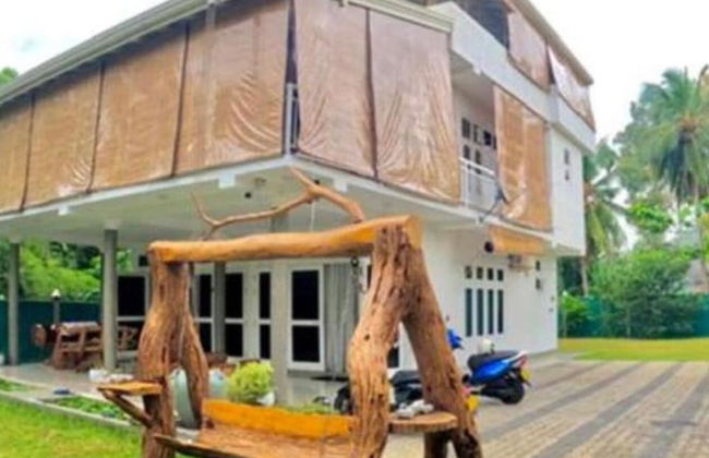 Morning Guest can see Momkeyies and Birds - Photo 41