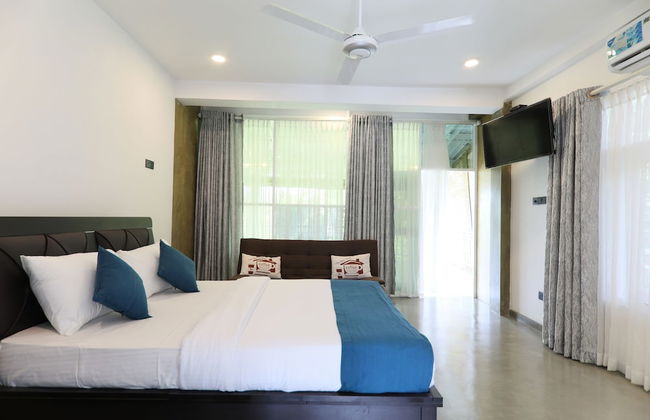 Morning Guest can see Momkeyies and Birds - Photo 3