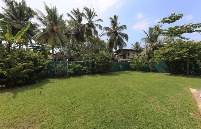 Morning Guest can see Momkeyies and Birds - Photo 25