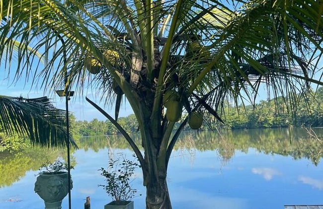 Morning Guest can see Momkeyies and Birds - Photo 35