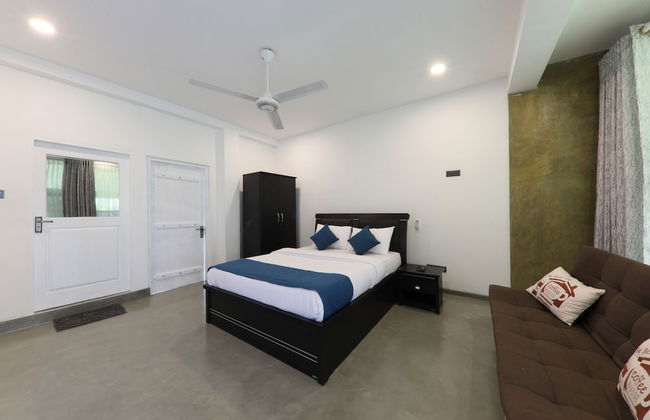 Morning Guest can see Momkeyies and Birds - Photo 6