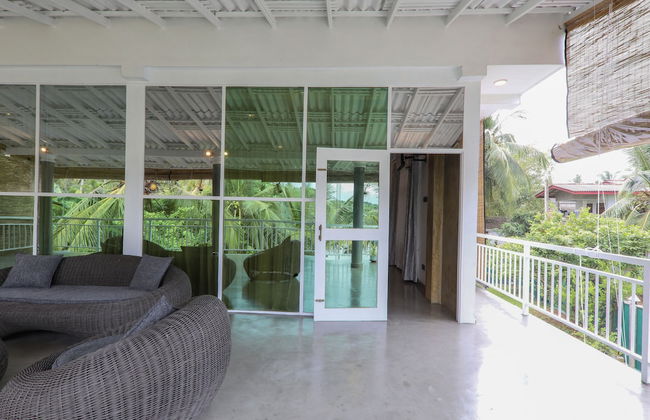 Morning Guest can see Momkeyies and Birds - Photo 12