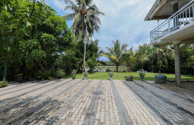 Morning Guest can see Momkeyies and Birds - Photo 24