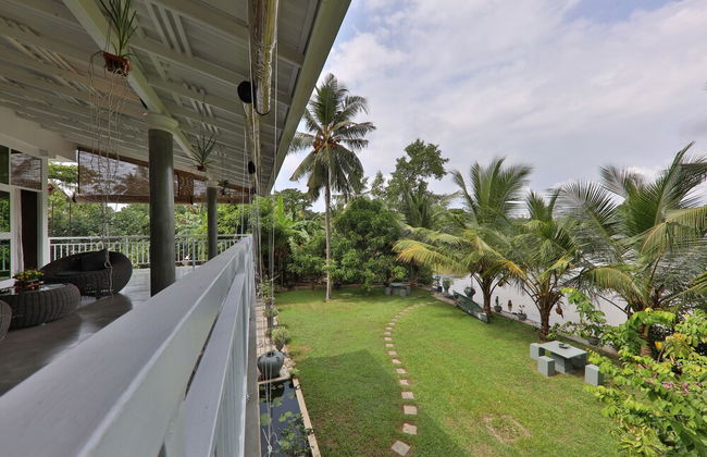 Morning Guest can see Momkeyies and Birds - Photo 26