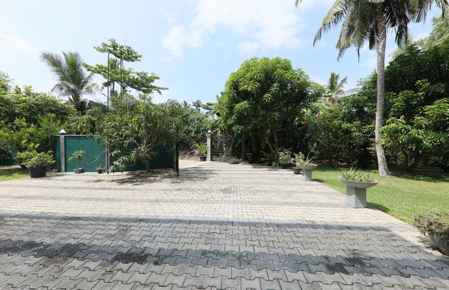 Morning Guest can see Momkeyies and Birds - Photo 28