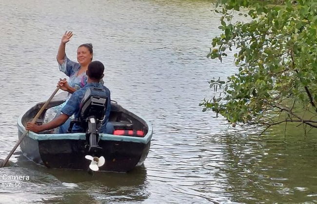 Morning Guest can see Momkeyies and Birds - Photo 19