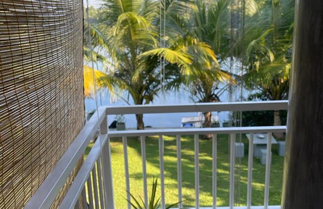 Morning Guest can see Momkeyies and Birds - Photo 15