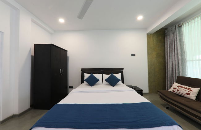 Morning Guest can see Momkeyies and Birds - Photo 2