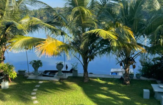 Morning Guest can see Momkeyies and Birds - Photo 31