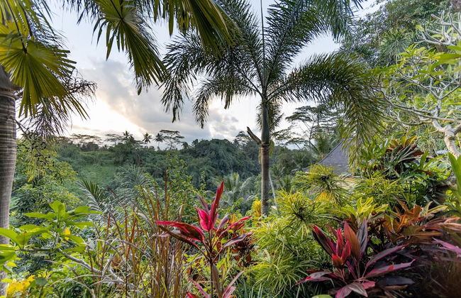 Bidadari Private Villas & Retreat - Foto 61