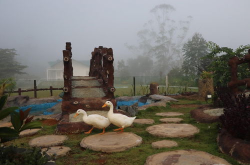 Foto 16 - Mount Edge Riverside Hotel in Bandarawela