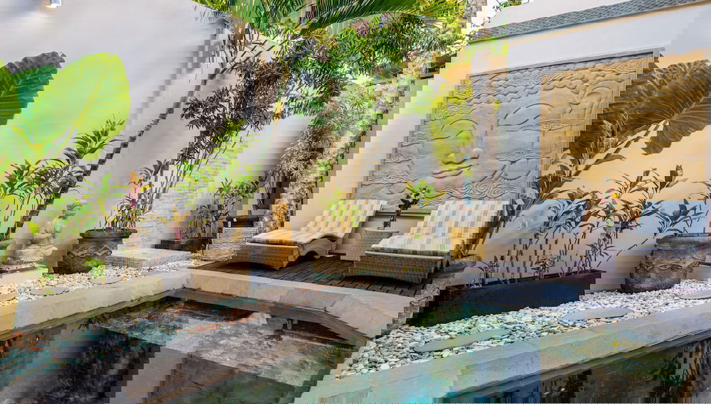 Imagem principal