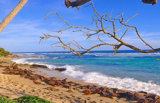 Mirissa Beach Villa - Foto 42