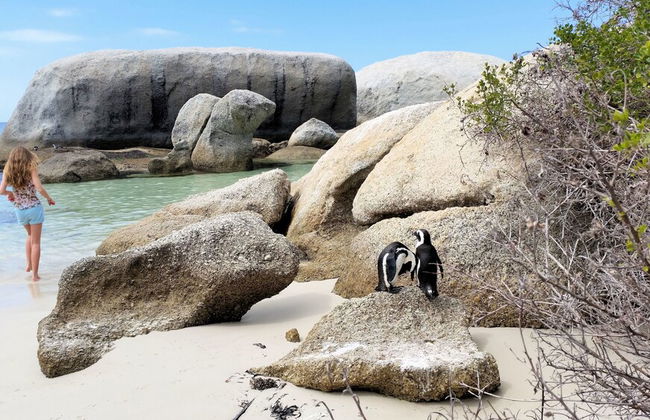 Hout Bay Beach Cottage - Foto 35