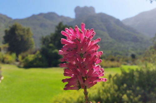 Foto 49 - Hout Bay Beach Cottage