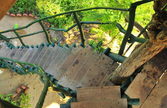 Beddegama Eco - Foto 40