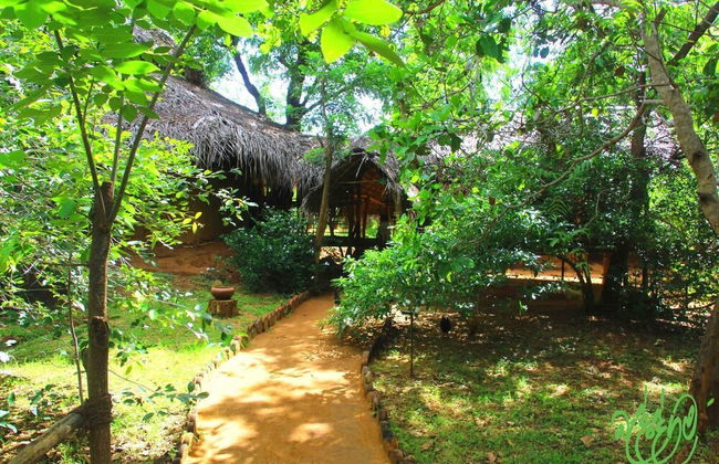 Beddegama Eco - Foto 35