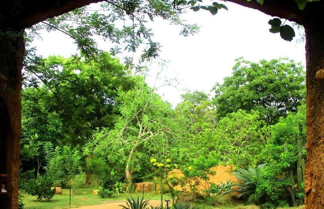 Beddegama Eco - Foto 42