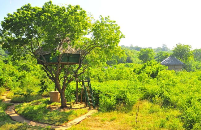 Beddegama Eco - Foto 39