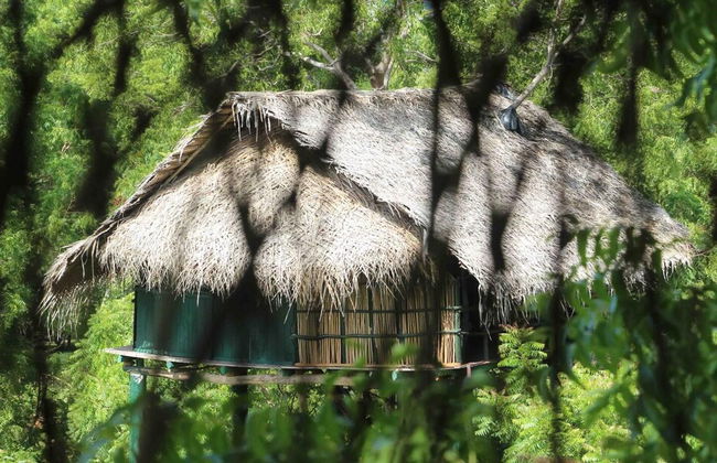Beddegama Eco - Foto 20