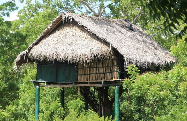 Beddegama Eco - Foto 44