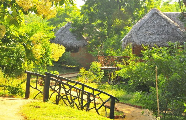 Beddegama Eco - Foto 32