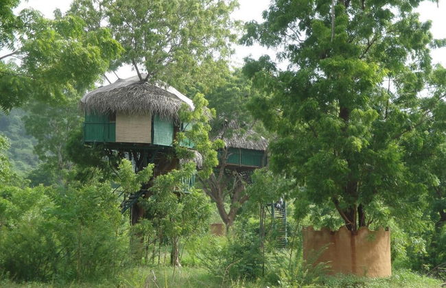 Beddegama Eco - Foto 38