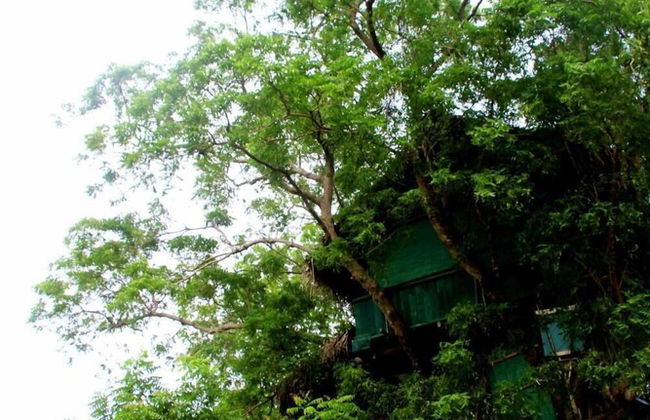 Beddegama Eco - Foto 41