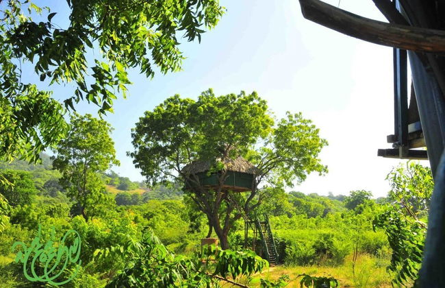Beddegama Eco - Foto 37