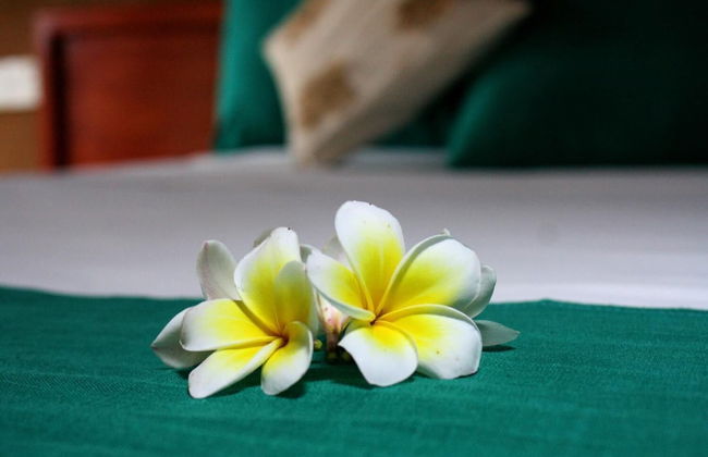 Beddegama Eco - Foto 3