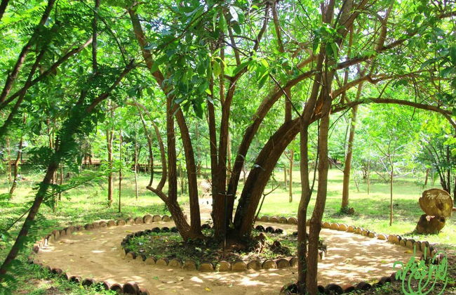 Beddegama Eco - Foto 34
