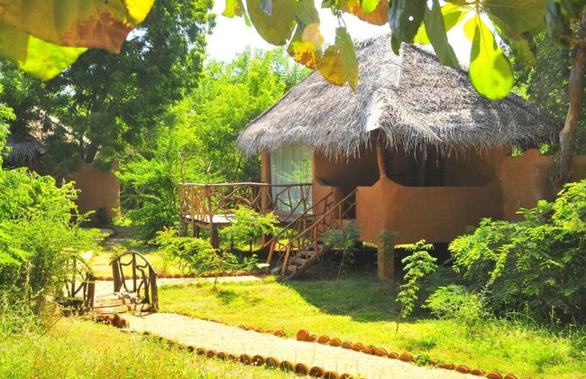 Beddegama Eco - Foto 30