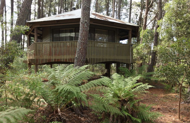 Federation Gardens & Possums Hideaway - Foto 6