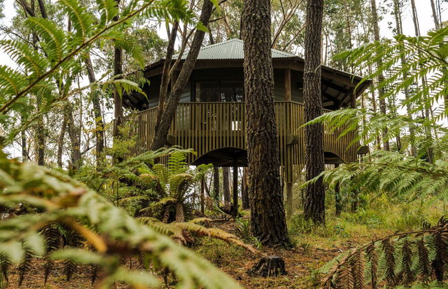 Federation Gardens & Possums Hideaway - Foto 59