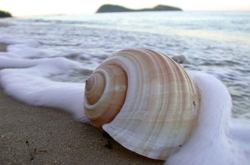 Photo 30 - Argosy On The Beach